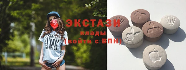 apvp Краснослободск