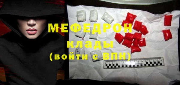 индика Арсеньев