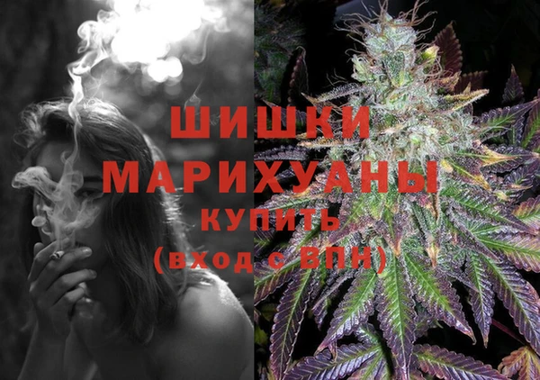 apvp Краснослободск
